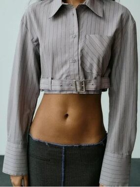 Zara Cropped Pinstripe Button-Down Shirt in Light Gray